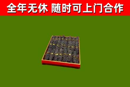 铁西回收海参